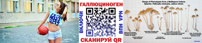 Галлюциногенные грибы MAGIC MUSHROOMS  Балашиха 
